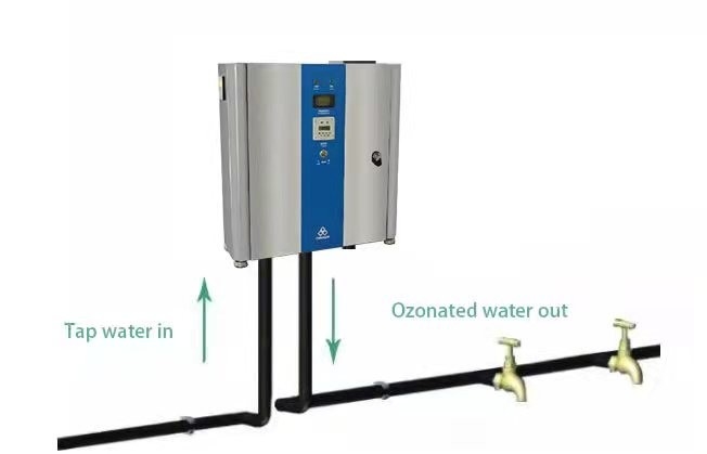 Aquaculture Water Ozone Generator 10g Air Water Purifier For Sterilization