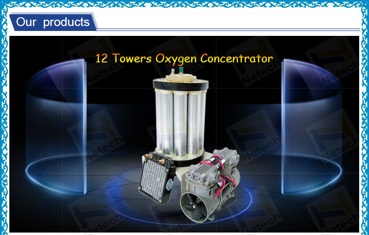 High Purifier 12 Tower Oxygen Generator Parts PSA 10apm Molecular Sieve 95% Concentration